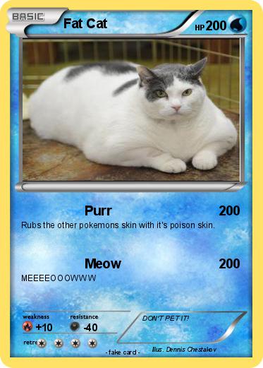 Pokemon Fat Cat