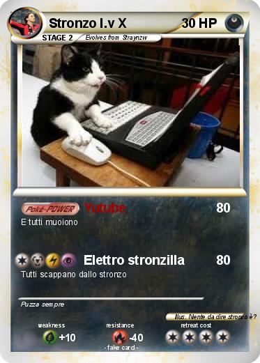 Pokemon Stronzo l.v X