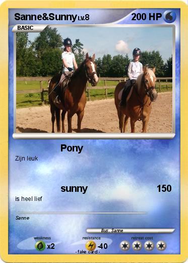 Pokemon Sanne&Sunny