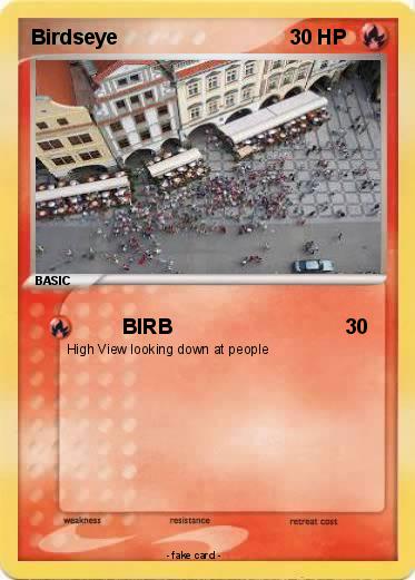 Pokemon Birdseye