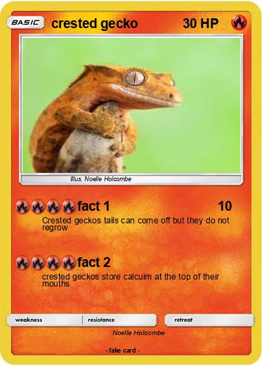 Pokemon crested gecko