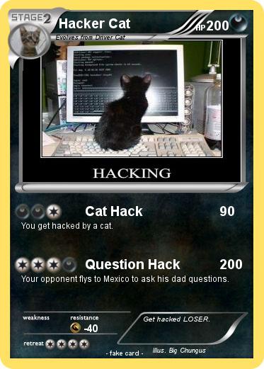 Pokemon Hacker Cat