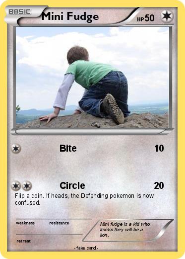 Pokemon Mini Fudge