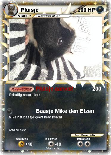 Pokemon Pluisje