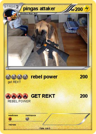 Pokemon pingas attaker