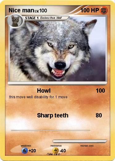 Pokemon Nice man