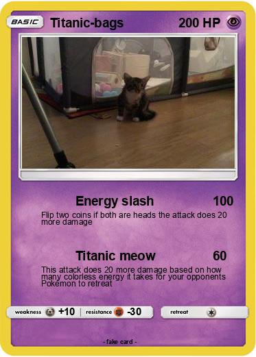 Pokemon Titanic-bags