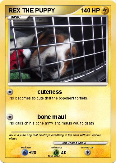 Pokemon REX THE PUPPY