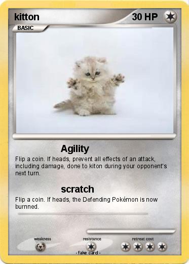 Pokemon kitton
