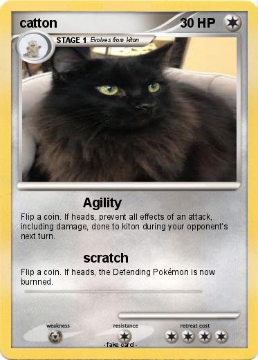 Pokemon catton
