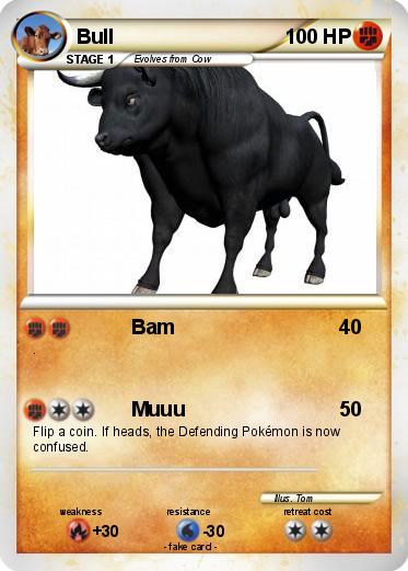 Pokemon Bull