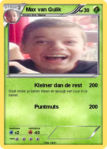 Pokemon Max van Gulik