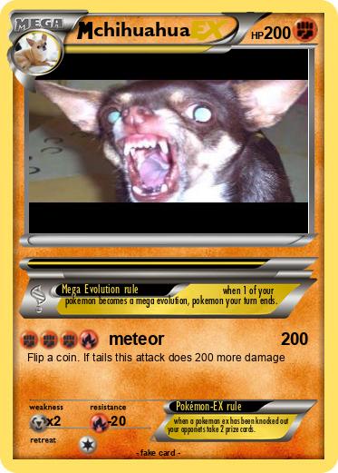 Pokemon chihuahua