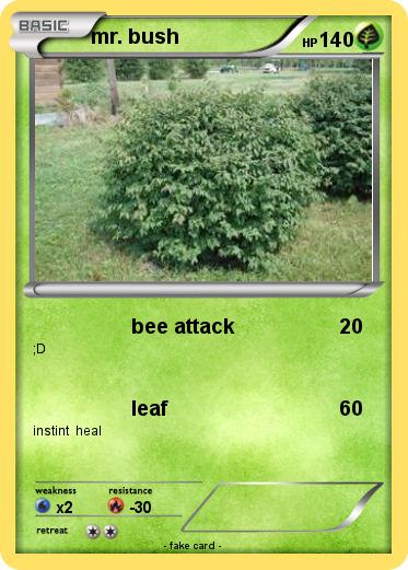 Pokemon mr. bush