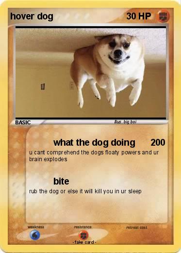 Pokemon hover dog