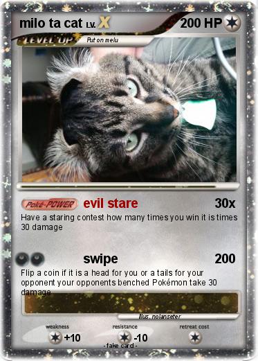 Pokemon milo ta cat
