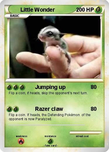 Pokemon Little Wonder