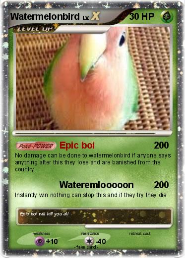 Pokemon Watermelonbird