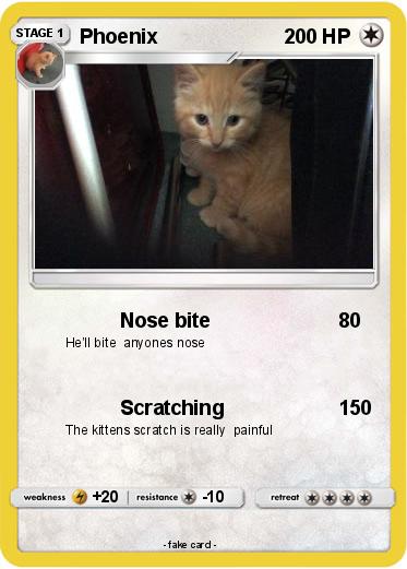 Pokemon Phoenix