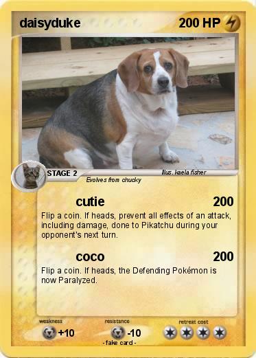 Pokemon daisyduke