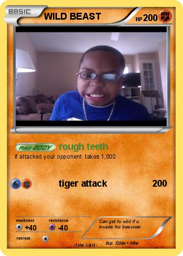 Pokemon WILD BEAST