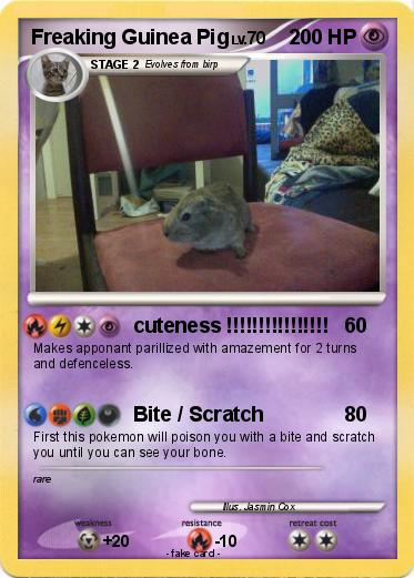 Pokemon Freaking Guinea Pig