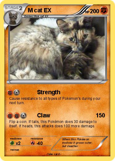 Pokemon M cat EX