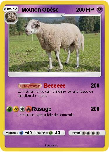 Pokemon Mouton Obèse