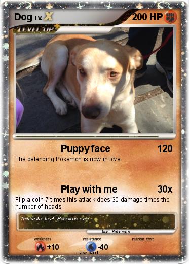 Pokemon Dog