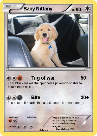 Pokemon Baby Nittany