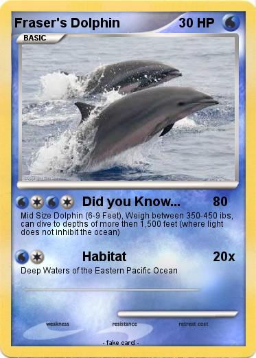 Pokemon Fraser's Dolphin