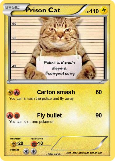 Pokemon Prison Cat