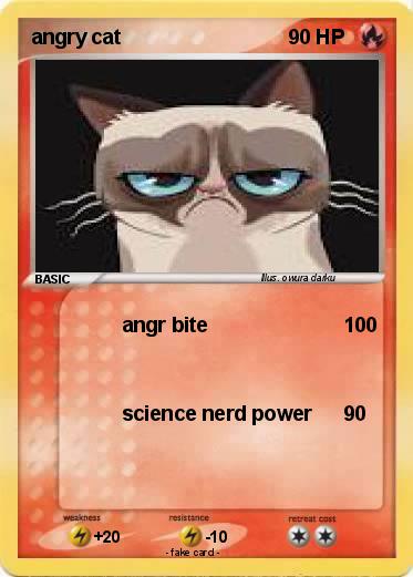 Pokemon angry cat