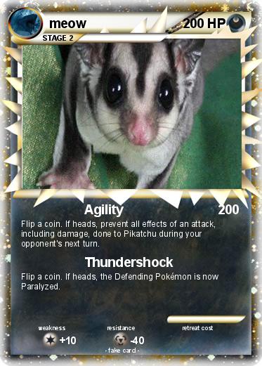 Pokemon meow