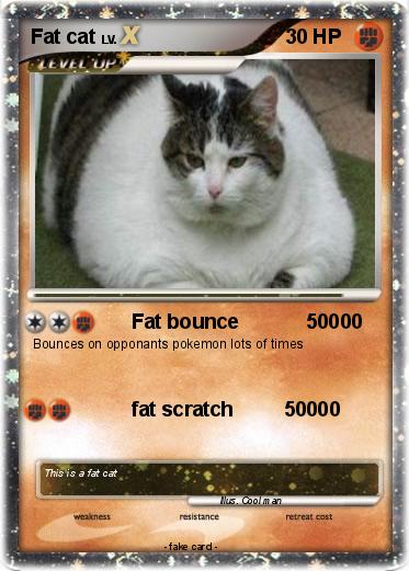 Pokemon Fat cat