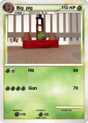 Pokemon Big  pig