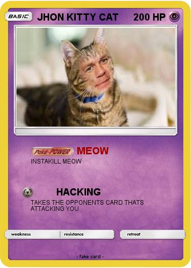Pokemon JHON KITTY CAT