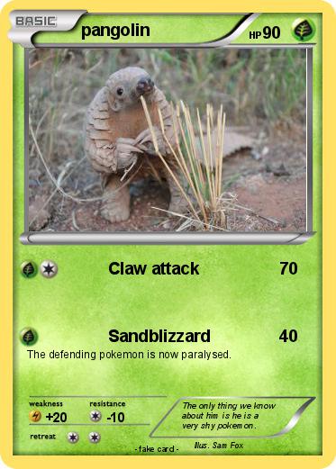 Pokemon pangolin
