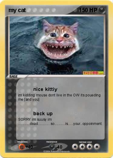 Pokemon my cat