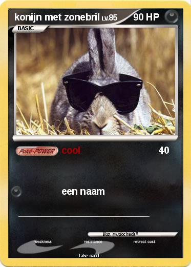 Pokemon konijn met zonebril