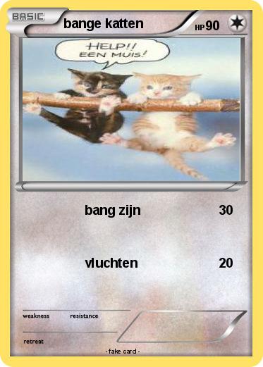 Pokemon bange katten