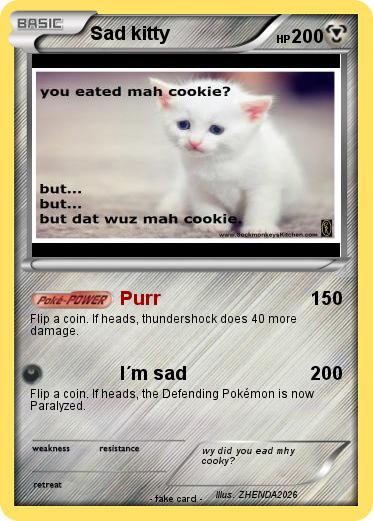 Pokemon Sad kitty