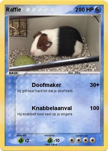 Pokemon Raffie