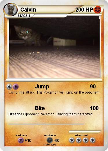 Pokemon Calvin