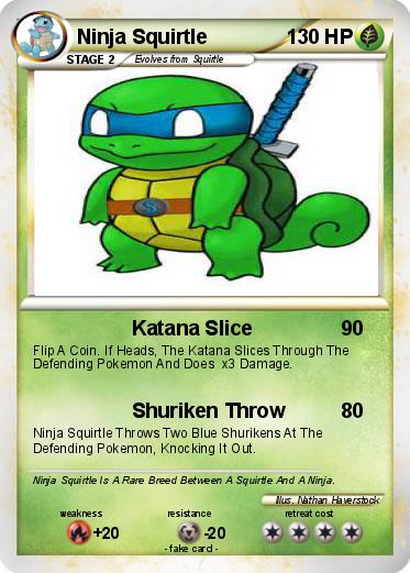 Pokemon Ninja Squirtle