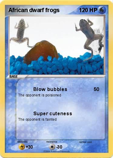 Pokemon African dwarf frogs