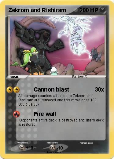 Pokemon Zekrom and Rishiram
