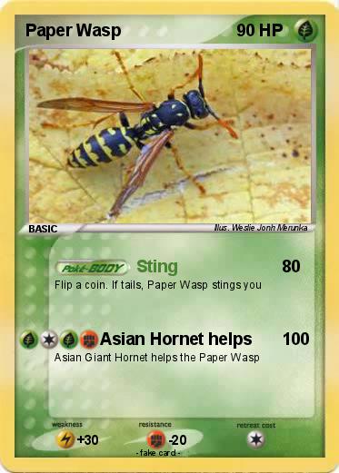 Pokemon Paper Wasp