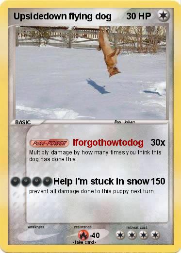 Pokemon Upsidedown flying dog