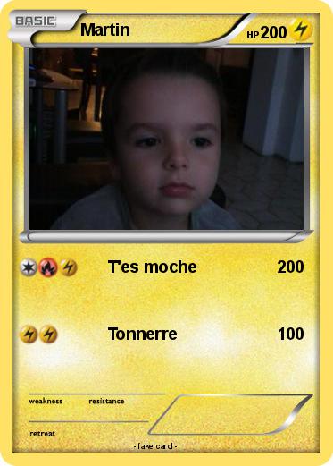 Pokemon Martin